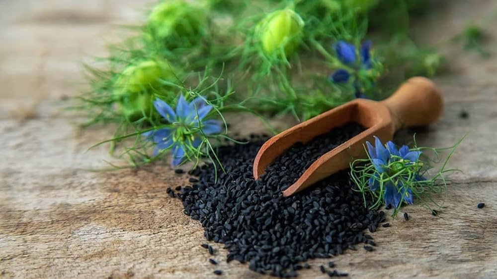 Efficacy of Kalonji for female infertility